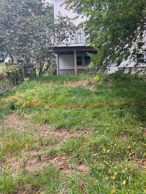 A beautifully landscaped back yard